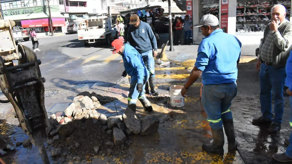 BAches JMAS